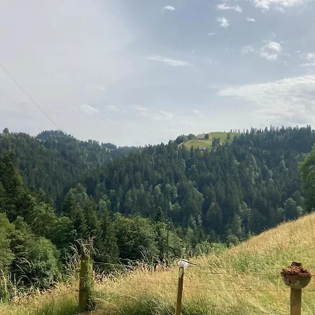 Im Gruenen