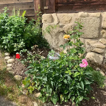 Holiday home Im Gruenen Sumiswald