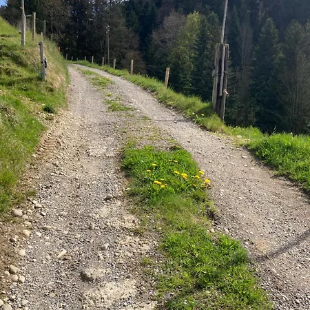 Im Gruenen * Sumiswald